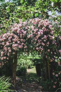Le Jardin de Marie - le gîte 12 pers Sancerre