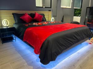 Appartements L-elegance - Charme - Jacuzzi - -Secret- Parking : photos des chambres