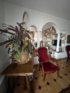Villas Villa Santa Rita : photos des chambres