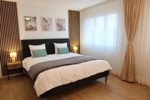 Top duplex Apartment Zurich-Limmattal - Niederwil