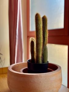 Appartements Amety : photos des chambres