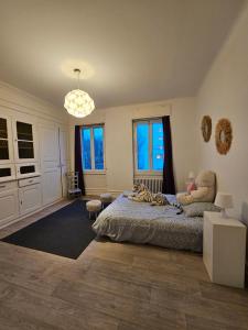 Villas Maison de Maitre a Koenigshoffen : photos des chambres