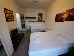 Neviano 171 - Aradeo