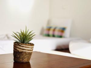 Resort Albufeira Praia Oura