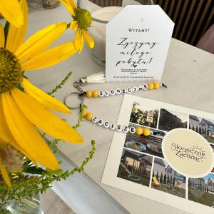 Słoneczne Zacisze Las obok Zatora