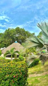 Habitación Bernabé