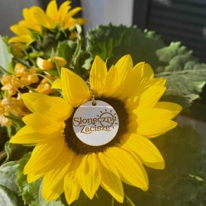 Słoneczne Zacisze Las obok Zatora