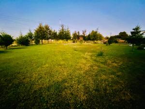 Cabañas Onde Rivera Panguipulli