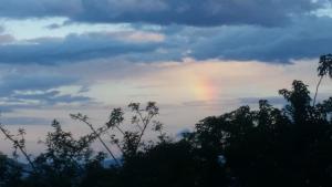 Jackal Buzzard Mountain Haven & Weddings