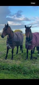 Mountains View Staycation