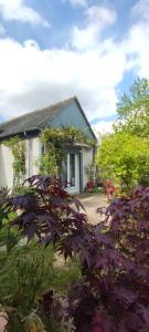 Appartements Studio Les coquelicots : photos des chambres