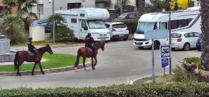 Studio Au Bord de la Mer 2