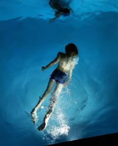 Wiejska Sowa Siedlisko