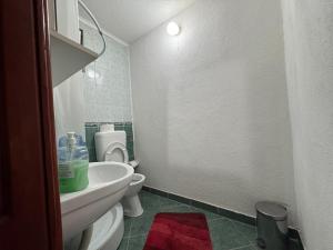 Studio with Terrace room in Pansion Villa Anja