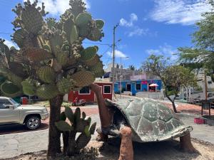 Rent Apartments Finch Nest