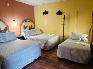 Hotel Chilero Y Café