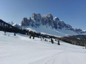 Dolomiten Home