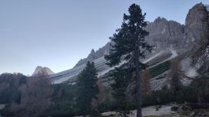 Dolomiten Home