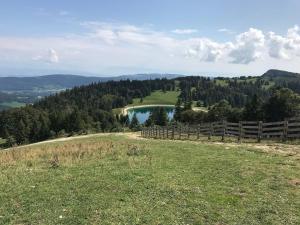 Appartements Superbe F3 au pied des pistes avec Piscine chauffee : Appartement 2 Chambres avec Vue sur la Montagne