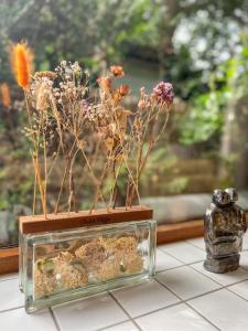 Boshuisjes Veluwe Olijfje met omheinde tuin