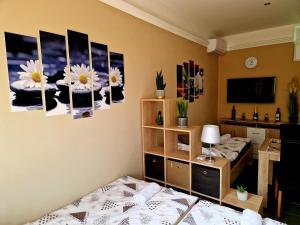 Két Sirály Apartman