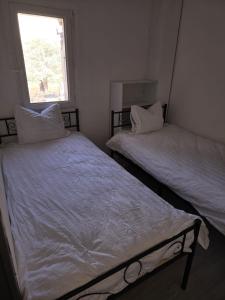 Appartements gite kastor : photos des chambres