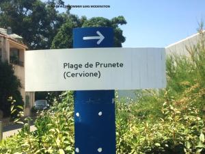 Villas Villa bord de mer,3 chambres, piscine chauffee, climatisee : photos des chambres