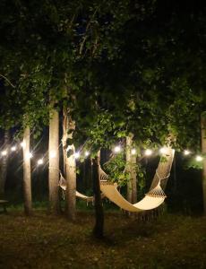 Zirgzandales Romantika