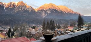 Pensiunea Cameea Busteni