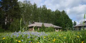 Zirgzandales Romantika