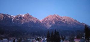 Pensiunea Cameea Busteni