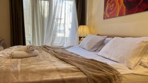 Ashri Deluxe Spacious Apartment in Nasr city