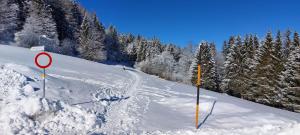 Ferienwohnung Tschengla mit eigener Sonnenterrasse - Wiese - Wlan - Netflix