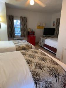 Family Room room in Sunshine Motel