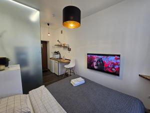 S10 Urban studio apartment