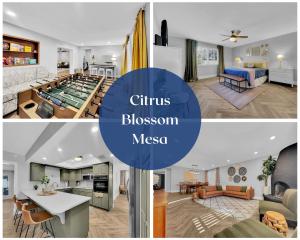 Los Lagos Mesa - Ubytování bez kategorie ve městě Mesa