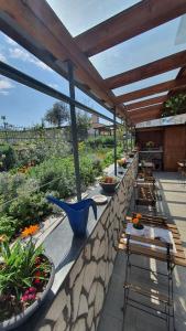 E s s e n t i a l Pompei