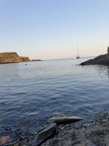 Mágico Apartamento Duplex Sota el Campanar