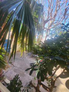 Hotels Hotel Le Chalet : photos des chambres