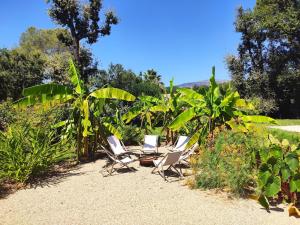 Villa avec piscine au milieu des bois