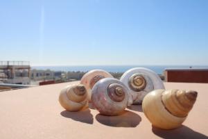 Apt Cosy 5min de la plage #2