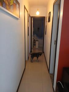 APARTAMENTO COMPLETO MARCO PRÓXIMO ao HANGAR