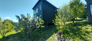 Bella vista el manzano