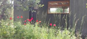 Bella vista el manzano