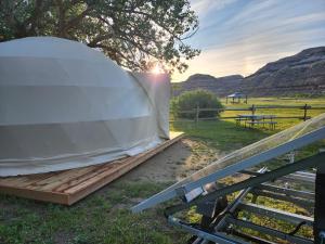 #Y4 Aurora Haven Yurt