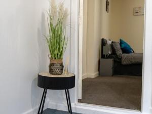 Elegant 2BR Escape Ideal for Long Stays