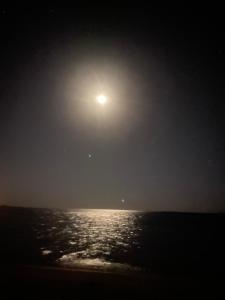 Scandic Resort Hurghada