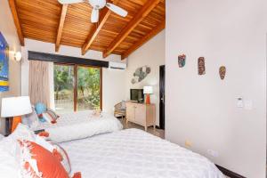 Palms 26 Sueños Del Sol