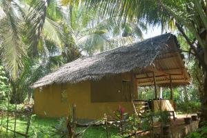 Coco village saliyawewa wadiya