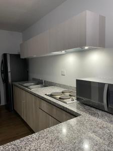 Departamento Altata punta paraiso